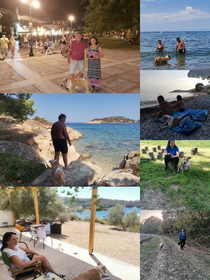 Everything I Know About Love, I Learned From My Dog (35 Pics) Everything I Know About Love, I Learned From My Dog (35 Pics)