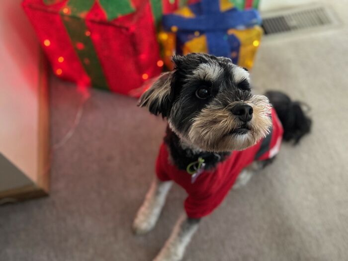 Sir Eyebrows (Dickens)