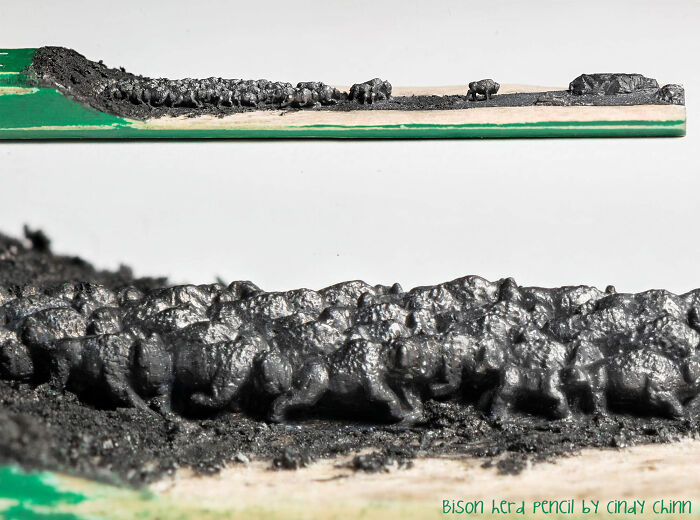 50 Tiny Bison, One Pencil: Here's My Most Ambitious Micro-Carving Yet 50 Tiny Bison, One Pencil: Here's My Most Ambitious Micro-Carving Yet