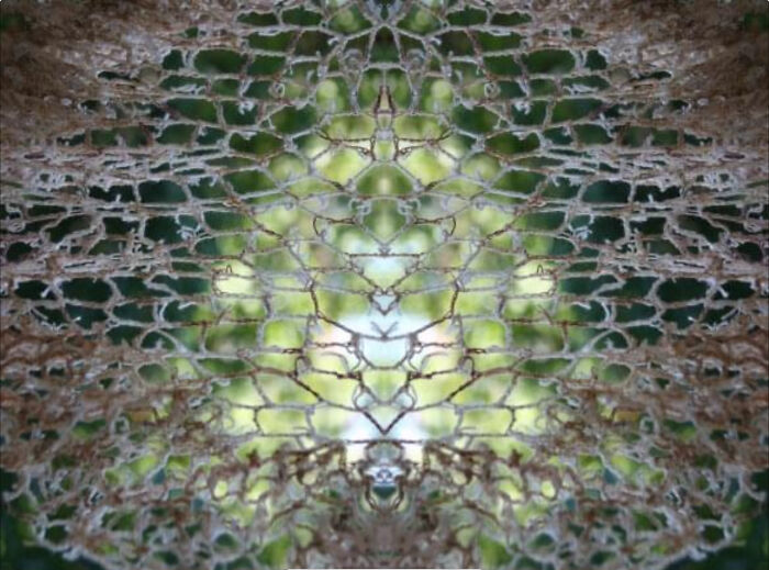 Here's How An Artist Connects The World With Tea Bags Here's How An Artist Connects The World With Tea Bags