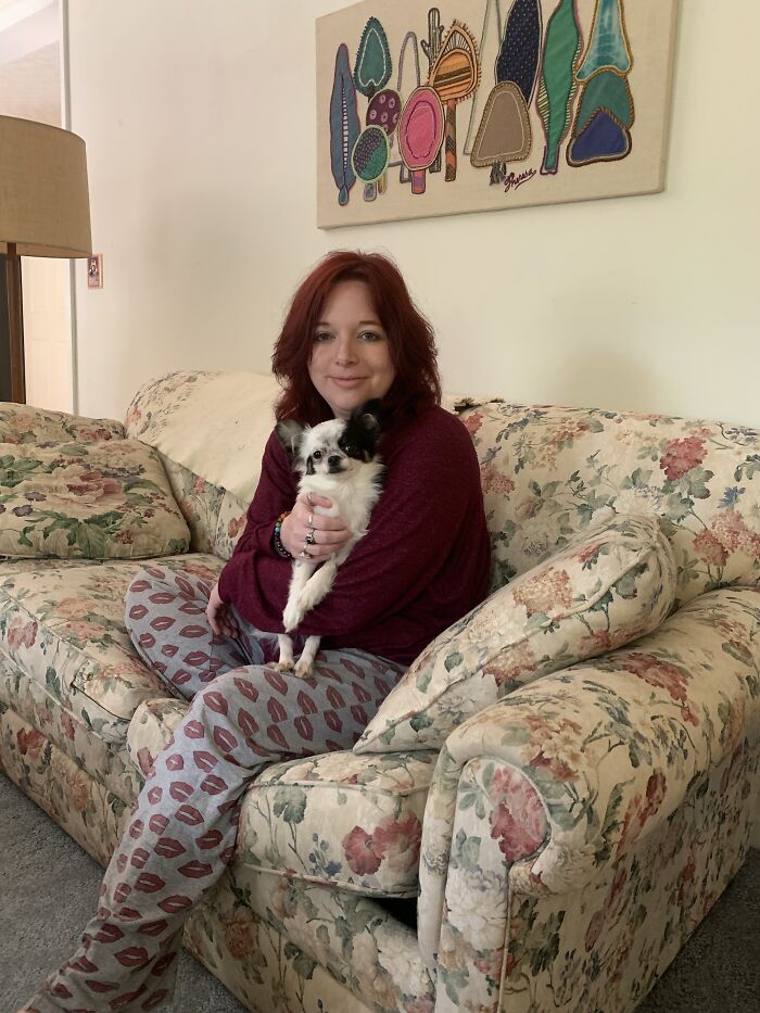 Life Of A Crazy Chihuahua Mama (35 Pics)