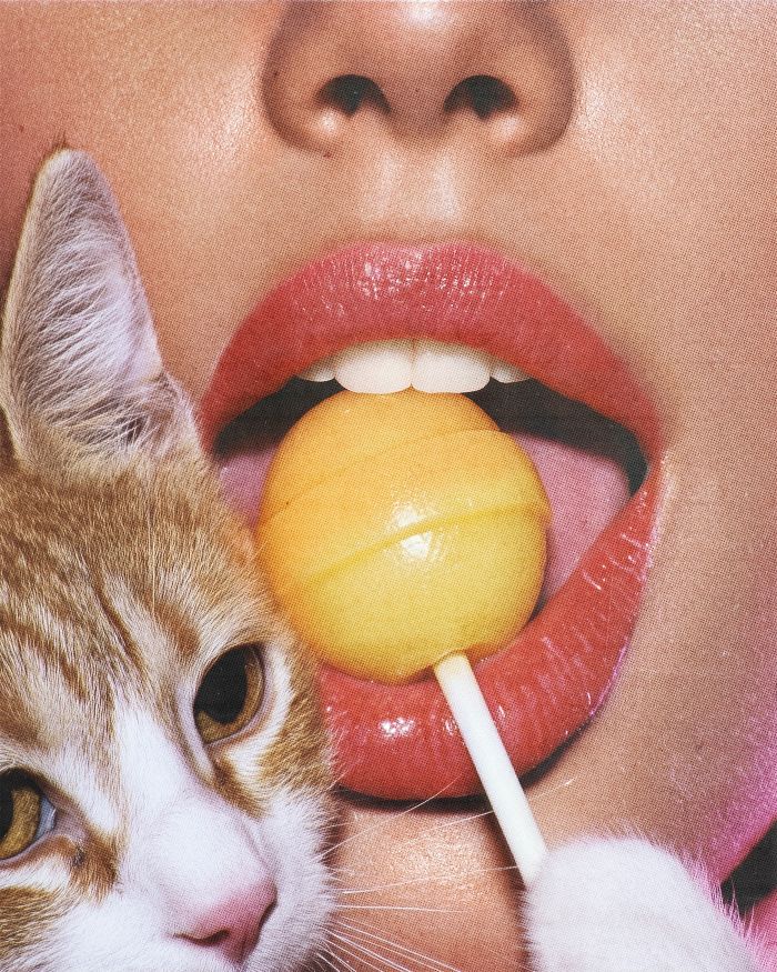 Close-up of lips holding a yellow lollipop with a cat's face nearby, related to Kourtney Kardashian lollipops for women. Close-up of lips holding a yellow lollipop with a cat's face nearby, related to Kourtney Kardashian lollipops for women.