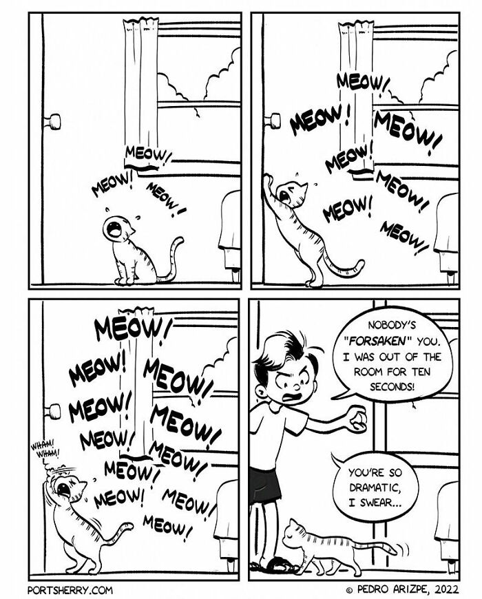 Comic strip from Port Sherry showing a cat meowing loudly and a boy calling the cat dramatic in everyday moments.