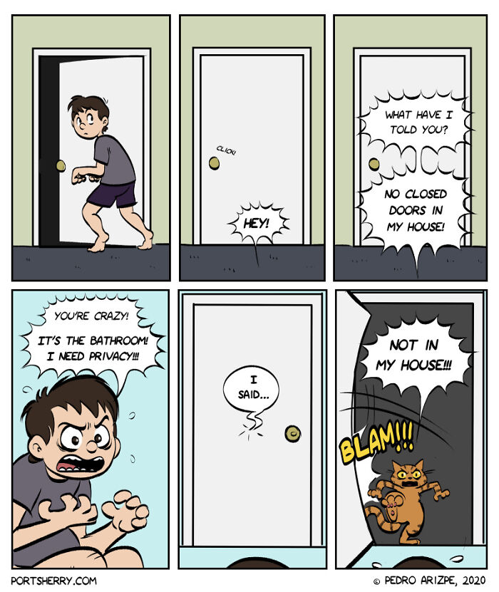 Comic strip showing a funny Port Sherry moment with a boy arguing about bathroom privacy and a cat slamming the door.