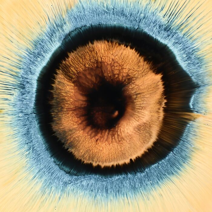 Hypnotic image of ink and water creating a pattern that resembles a close-up of a human eye with intricate textures.