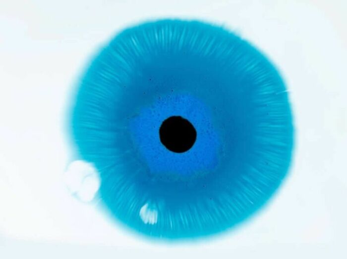 Close-up of hypnotic blue ink in water creating an abstract image resembling the intricate patterns of a human eye.