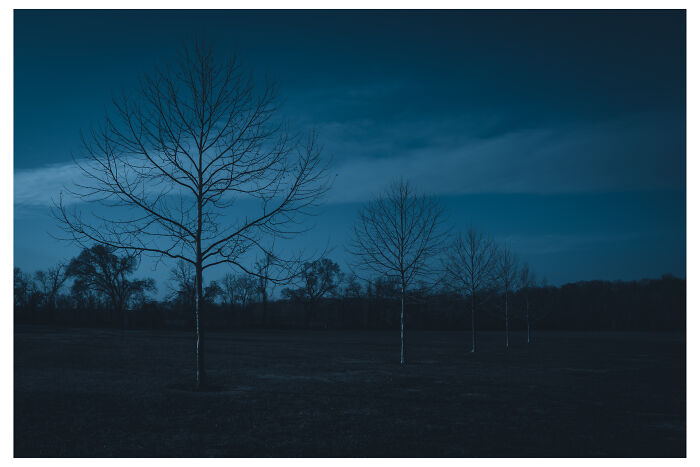 Sirens Keeping Watch By Benita Mayo