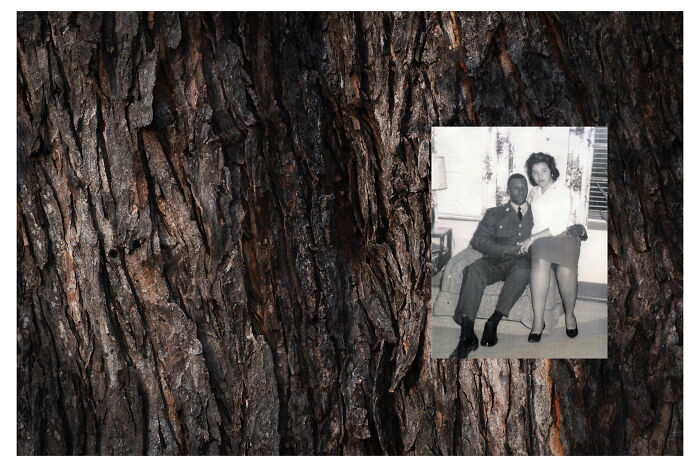 The Dream By Benita Mayo