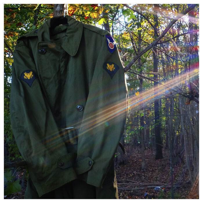 Air Assault Division By Benita Mayo