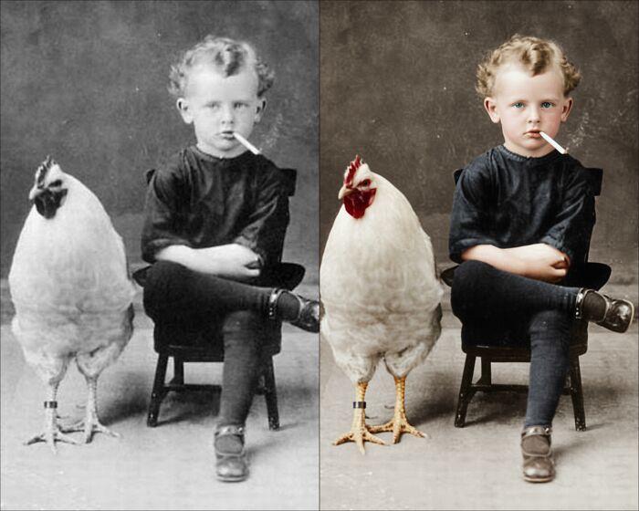 Side-by-side vintage black-and-white and colorized photograph of a young boy with a chicken, restored by a colorization artist.