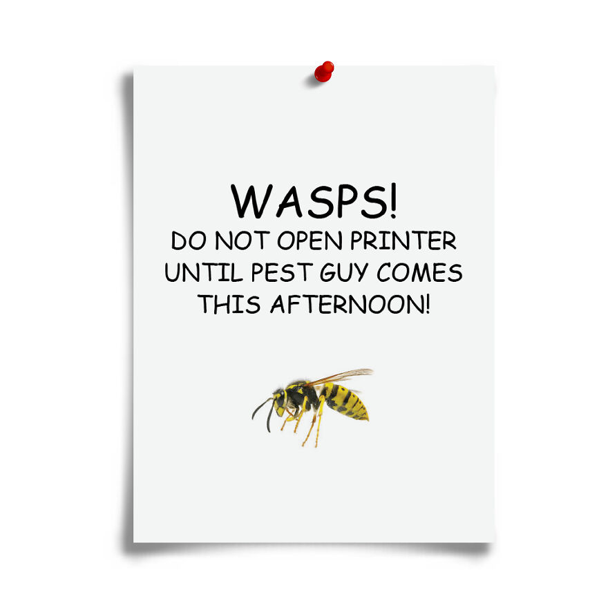 Fake flyer prank warning about wasps on printer with image of wasp, part of hilarious prank-O gift box collection.