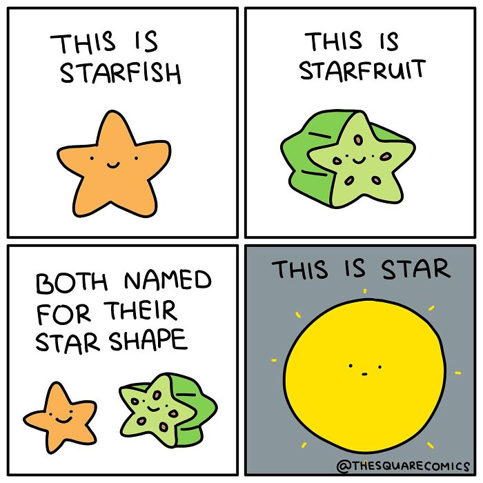 Darkly funny comic illustrating starfish, starfruit, and the star, capturing the struggle of adulthood humorously.