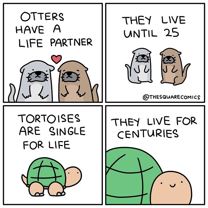 Darkly funny comic showing otters with life partners and tortoises single for life, capturing the struggle of adulthood.