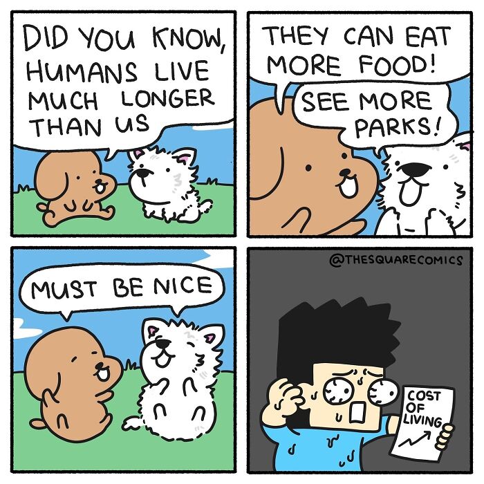 Darkly funny comic shows dogs discussing human struggles with cost of living in adulthood through humor.