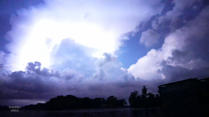 Bright lightning illuminating dark clouds and silhouetted trees, showcasing incredible weather records of our planet’s power.