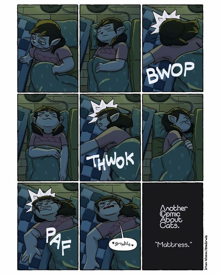 Comic panels showing the chaos of sharing a mattress with a cat, capturing the humor of living with friends at home.