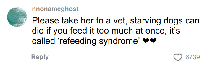 Comment warning about refeeding syndrome in starving dogs, urging to take a trapped dog to a vet for proper care. Comment warning about refeeding syndrome in starving dogs, urging to take a trapped dog to a vet for proper care.