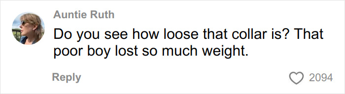 Comment from Auntie Ruth expressing concern about a trapped dog's loose collar and weight loss after urban explorers rescued it. Comment from Auntie Ruth expressing concern about a trapped dog's loose collar and weight loss after urban explorers rescued it.
