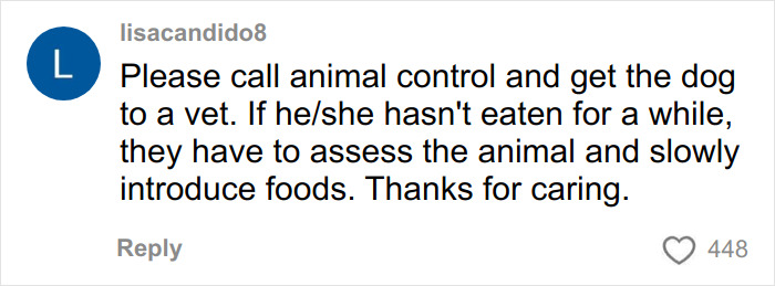 Comment urging animal control to help a trapped dog and get it to a vet for proper care and feeding assessment. Comment urging animal control to help a trapped dog and get it to a vet for proper care and feeding assessment.