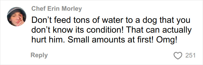 Comment from Chef Erin Morley advising to give a dog small amounts of water first to avoid hurting its condition. Comment from Chef Erin Morley advising to give a dog small amounts of water first to avoid hurting its condition.