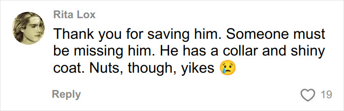 Comment from Rita Lox expressing gratitude for rescuing a trapped dog with a collar and shiny coat in a ghost mall. Comment from Rita Lox expressing gratitude for rescuing a trapped dog with a collar and shiny coat in a ghost mall.