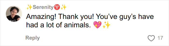 Comment from Serenity thanking urban explorers for rescuing a trapped dog and showing appreciation for animal care. Comment from Serenity thanking urban explorers for rescuing a trapped dog and showing appreciation for animal care.