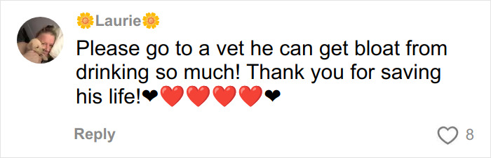 Comment urging to take trapped dog to a vet to prevent bloat after urban explorers rescued it from a ghost mall. Comment urging to take trapped dog to a vet to prevent bloat after urban explorers rescued it from a ghost mall.