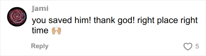 Comment on a video about a trapped dog rescued by urban explorers in an abandoned mall, expressing gratitude and relief. Comment on a video about a trapped dog rescued by urban explorers in an abandoned mall, expressing gratitude and relief.