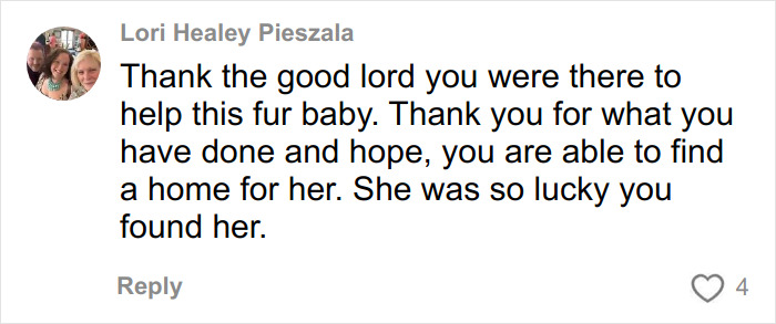 Comment expressing gratitude for rescuing a trapped dog and hoping for a new home after being found in a ghost mall. Comment expressing gratitude for rescuing a trapped dog and hoping for a new home after being found in a ghost mall.