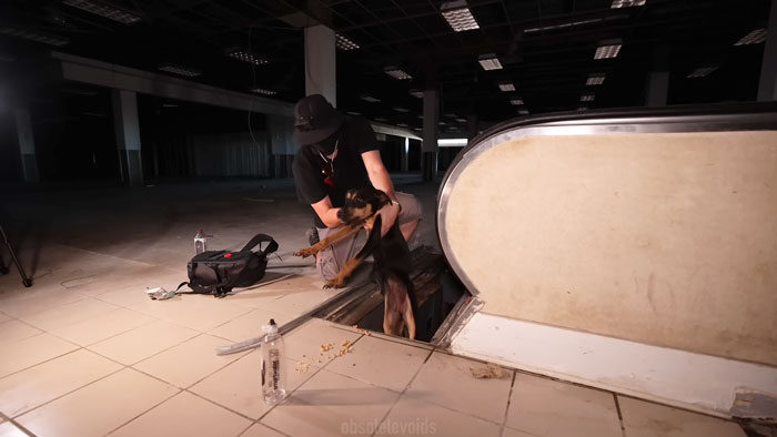 Urban explorers rescuing a trapped dog from an abandoned ghost mall, giving the dog a new leash on life. Urban explorers rescuing a trapped dog from an abandoned ghost mall, giving the dog a new leash on life.