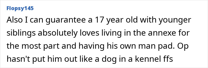 Comment discussing a 17-year-old enjoying living in the annexe, highlighting family relationship and personal space.