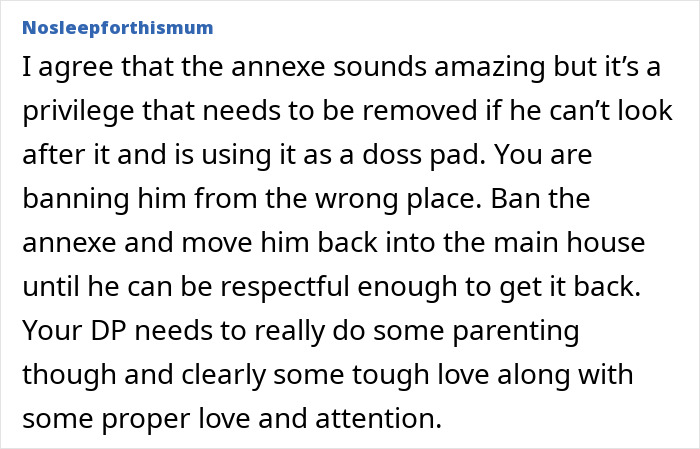 Comment discussing the son's privilege of living in the annexe and its impact on family relationship dynamics.