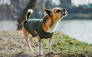 “Do You Read The Room?”: Emotional Intelligence Self-Check With 30 Questions