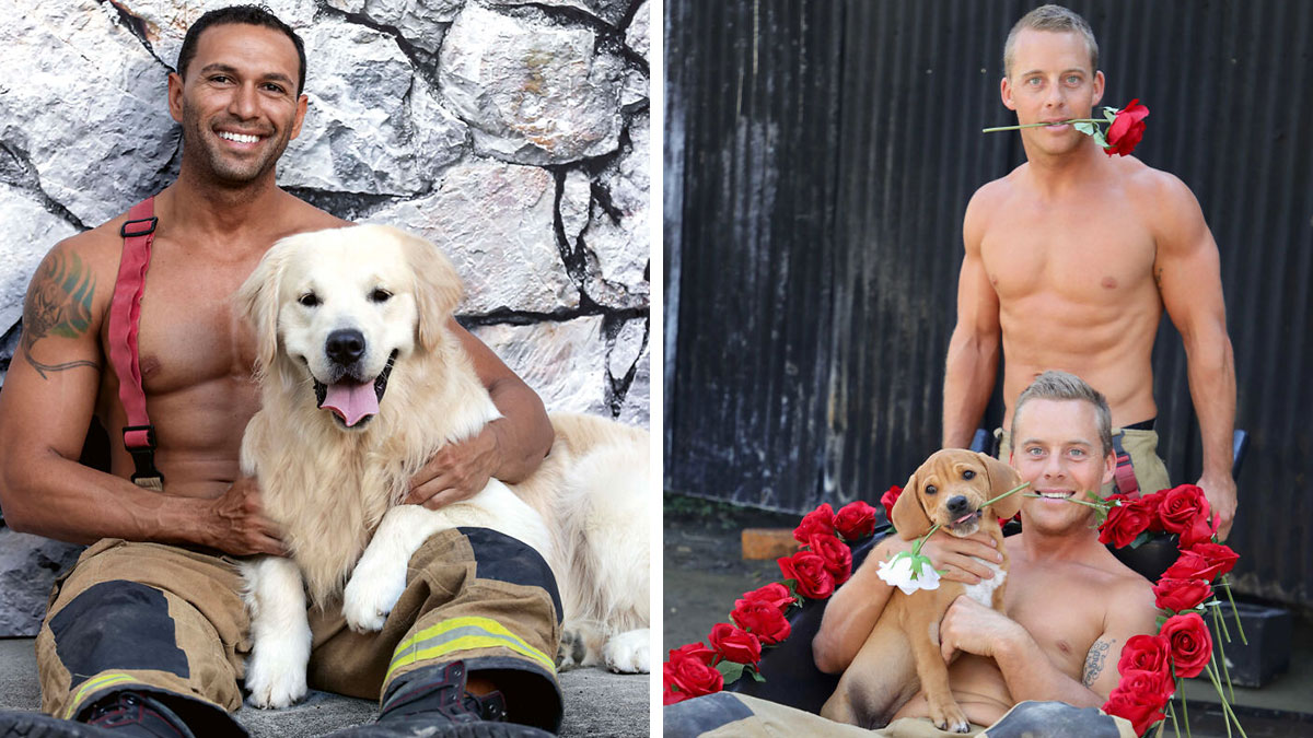 Two heroic firefighters pose shirtless with adorable dogs, surrounded by roses, representing an Australian firefighter calendar photoshoot.