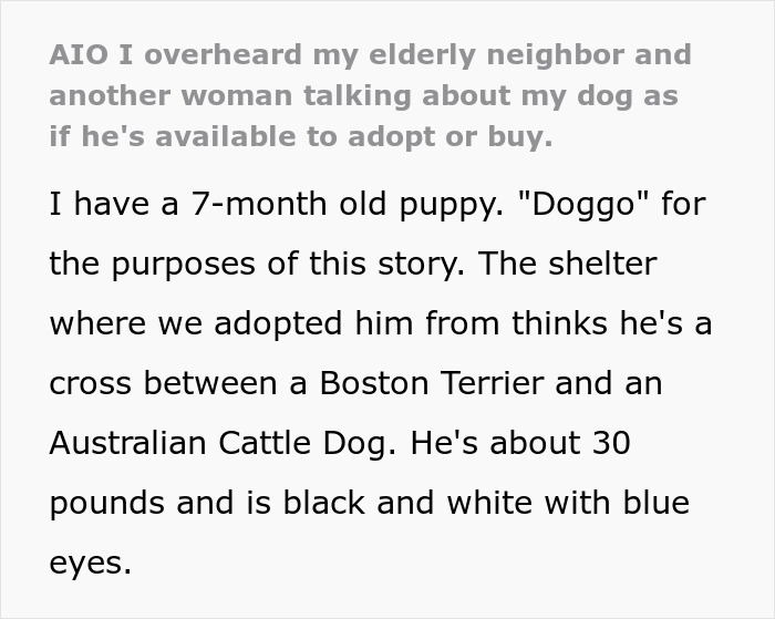 Text highlighting an elderly lady allegedly planning to steal neighbor’s doggo for her friend’s daughter, with the owner in shock. Text highlighting an elderly lady allegedly planning to steal neighbor’s doggo for her friend’s daughter, with the owner in shock.