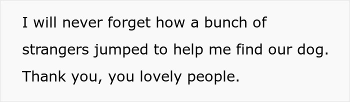 Thankful message about strangers helping find a lost dog while manchild plays games and family is upset. Thankful message about strangers helping find a lost dog while manchild plays games and family is upset.