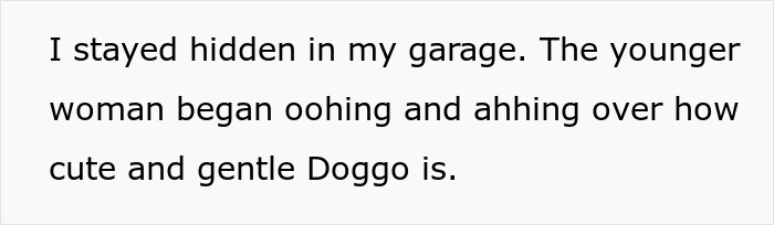 Text reading a hidden witness describing how a woman admired a gentle doggo, relating to elderly lady planning to steal neighbor’s doggo. Text reading a hidden witness describing how a woman admired a gentle doggo, relating to elderly lady planning to steal neighbor’s doggo.