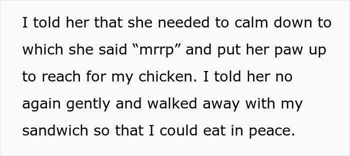 Text showing a woman refusing to share her chicken sandwich with her cat, wondering if she’s the jerk.