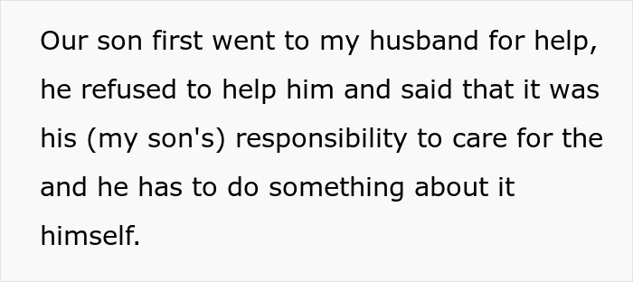 Text excerpt about a son seeking help from a manchild who plays games, refusing responsibility for the lost dog. Text excerpt about a son seeking help from a manchild who plays games, refusing responsibility for the lost dog.