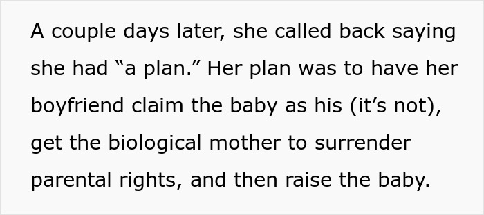 Text excerpt explaining a sister’s plan for an illegal adoption which leads a guy to report her to CPS.