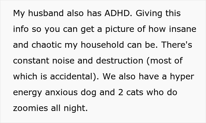 Text describing chaotic household with ADHD, energetic dog, and noisy cats causing disruption at night.