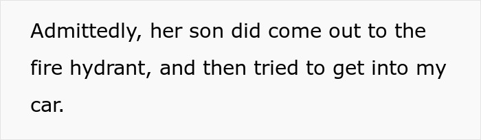 Text on a white background stating her son came out to the fire hydrant and tried to get into a car. Text on a white background stating her son came out to the fire hydrant and tried to get into a car.