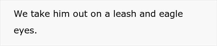 Elderly woman with concerned expression, walking a dog on a leash in a neighborhood setting. Elderly woman with concerned expression, walking a dog on a leash in a neighborhood setting.