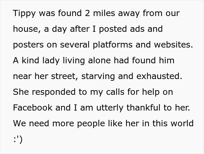 Text describing finding a lost dog after posting ads, with a kind woman helping through Facebook calls. Text describing finding a lost dog after posting ads, with a kind woman helping through Facebook calls.