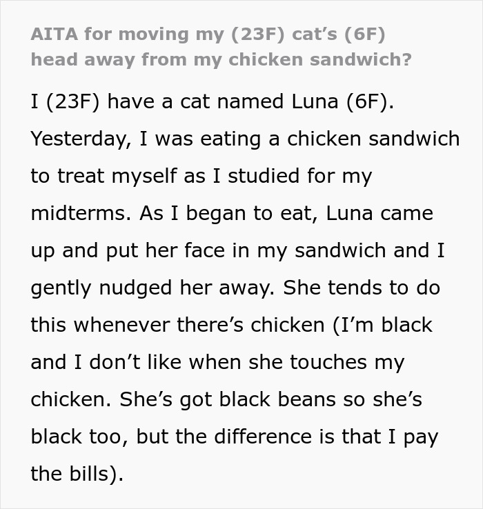 Woman refuses to share chicken sandwich with her cat, debating if she’s the jerk over the refusal.