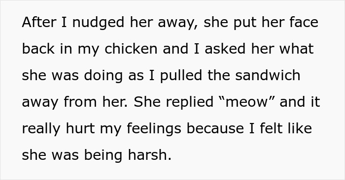 Woman refuses to share her chicken sandwich with her cat, wondering if she is the jerk in a political debate. Woman refuses to share her chicken sandwich with her cat, wondering if she is the jerk in a political debate.