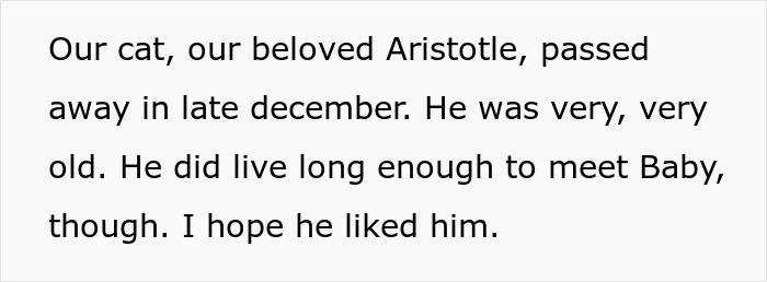 Text on a white background sharing a heartfelt message about the passing of a beloved family cat named Aristotle. Text on a white background sharing a heartfelt message about the passing of a beloved family cat named Aristotle.