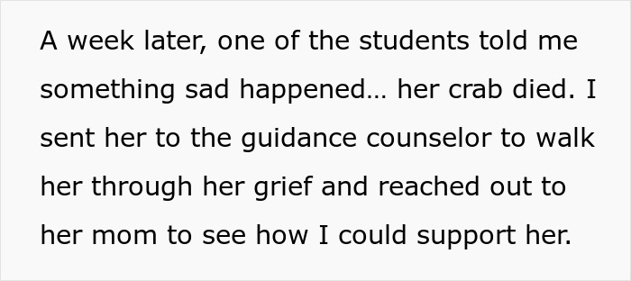Teacher responds to student’s grief after hermit crab pet dies, facing backlash from a parent over the situation. Teacher responds to student’s grief after hermit crab pet dies, facing backlash from a parent over the situation.