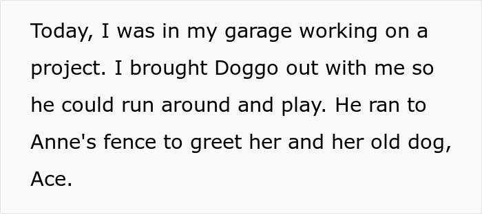 Text from a story about an elderly lady allegedly planning to steal a neighbor’s dog for her friend’s daughter. Text from a story about an elderly lady allegedly planning to steal a neighbor’s dog for her friend’s daughter.