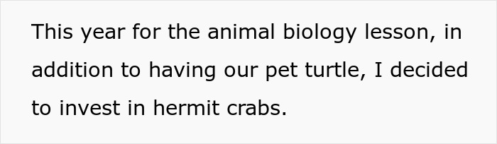 Teacher's classroom scene showing kids learning about hermit crabs as pets, sparking a parent backlash after one dies. Teacher's classroom scene showing kids learning about hermit crabs as pets, sparking a parent backlash after one dies.